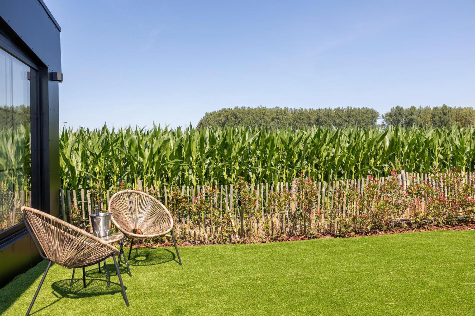 Burgemeestershof Wetteren ภายนอก รูปภาพ